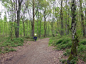 Schlechter Weg