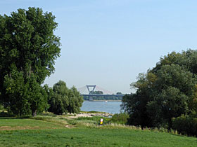 Rhein